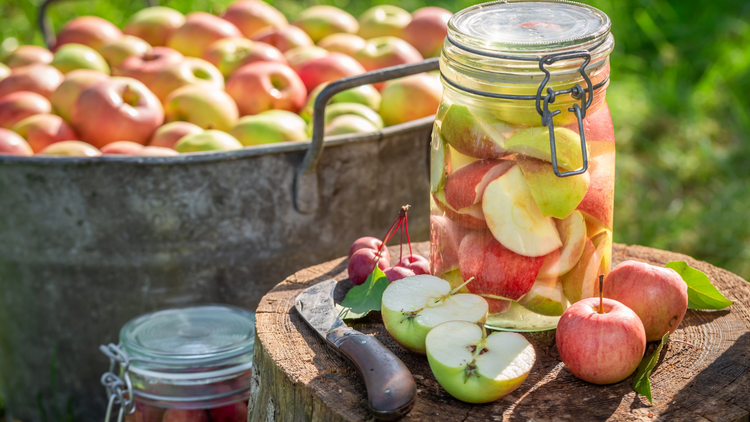 A photo of canned apples in a glass jar resting atop a log surrounded by other apples. In the background, a metal bin of apples.