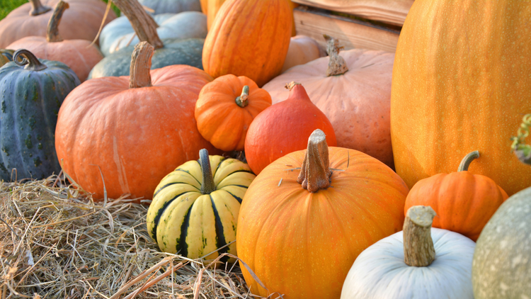 4 Ways to Use Leftover Pumpkin Seeds